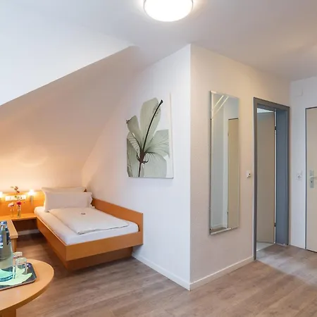 Alleehaus Hotel Freiburg im Breisgau