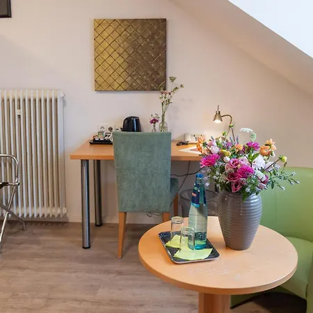 Alleehaus Hotel Freiburg im Breisgau