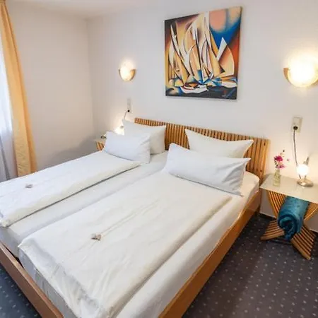 Alleehaus Hotel 3*